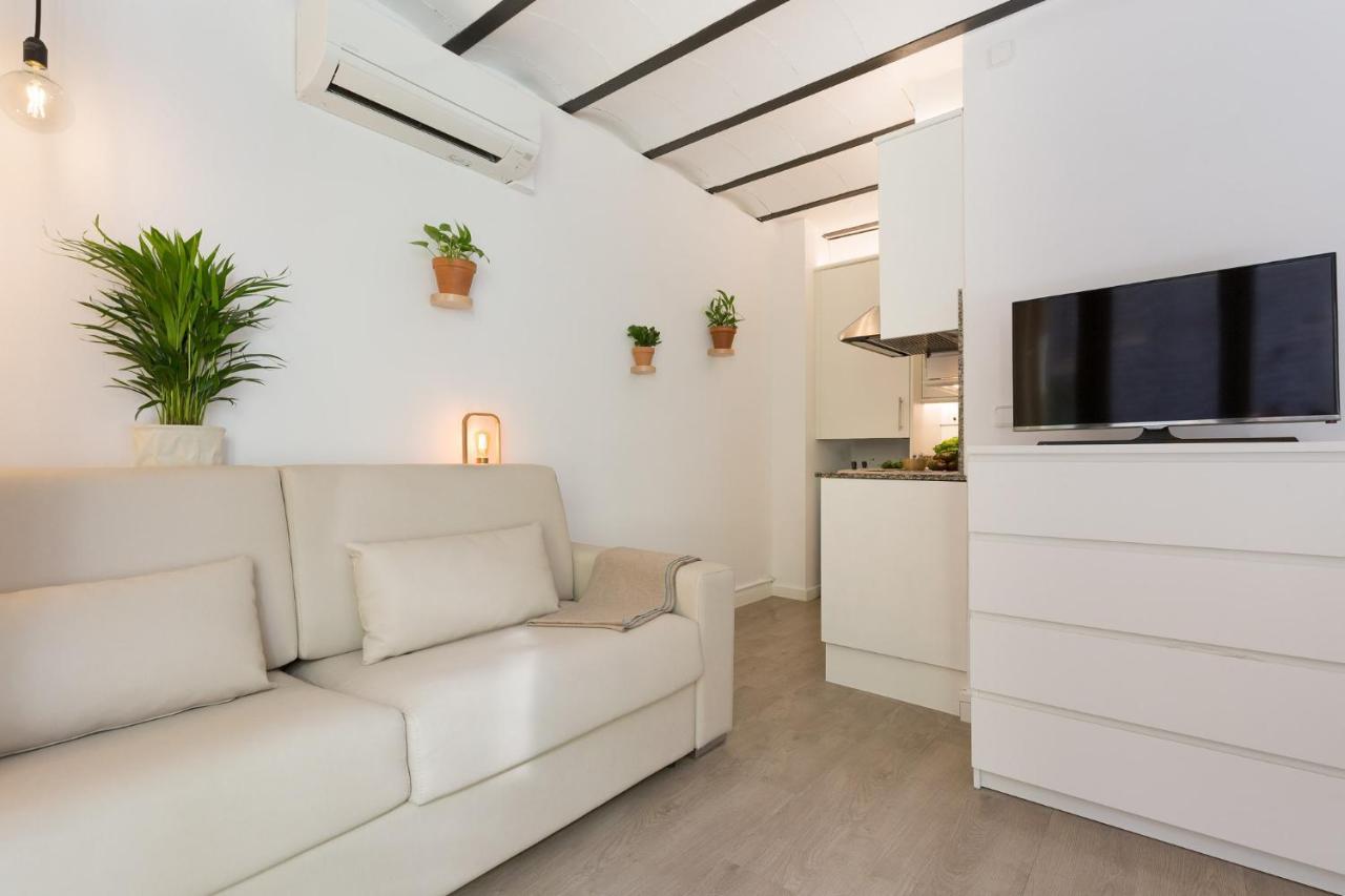 Apartament Ola Living Born *